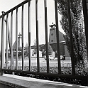 souvenirs en noir et blanc (617)